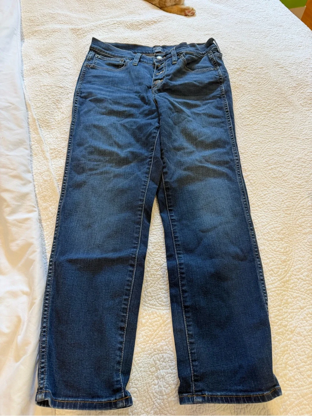 J. Crew Straight-Leg Button-Fly Jeans in Medium Blue Denim